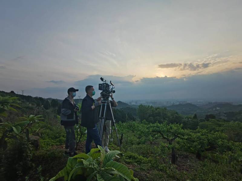 创意破圈！泗阳县电商产品宣传视频用故事化叙事引爆流量