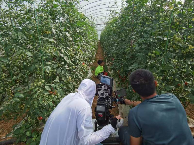 泗阳县产品宣传视频拍摄公司进阶指南，助力品牌抢占传播高地